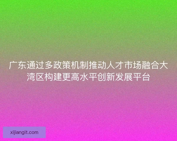 广东通过多政策机制推动人才市场融合大湾区构建更高水平创新发展平台
