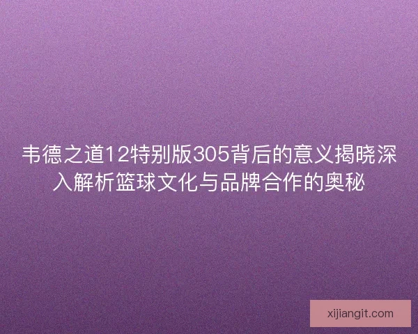 韦德之道12特别版305背后的意义揭晓深入解析篮球文化与品牌合作的奥秘