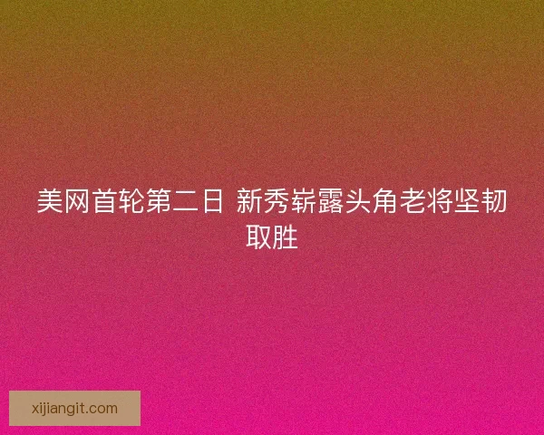 美网首轮第二日 新秀崭露头角老将坚韧取胜
