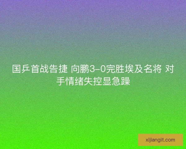 国乒首战告捷 向鹏3-0完胜埃及名将 对手情绪失控显急躁