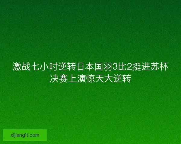 激战七小时逆转日本国羽3比2挺进苏杯决赛上演惊天大逆转