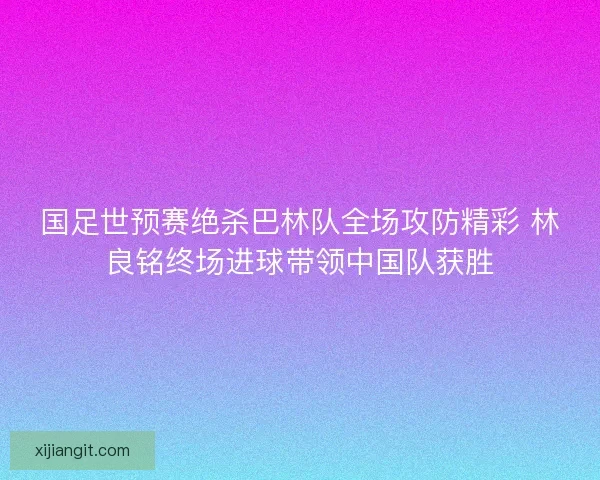 国足世预赛绝杀巴林队全场攻防精彩 林良铭终场进球带领中国队获胜